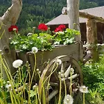 Lantgård Furhapter Mit Bio- Bauernhof *