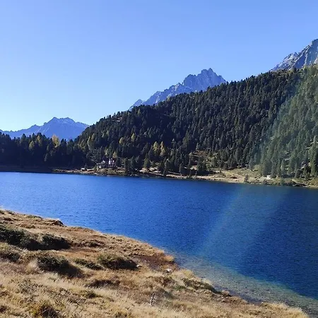 Fuerhapter Mit Bio- Bauernhof