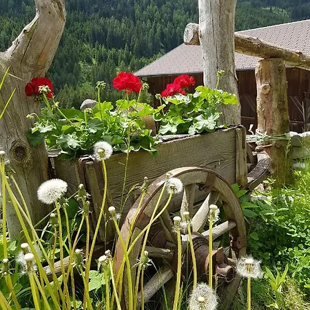 בית חווה Fuerhapter Mit Bio- Bauernhof *