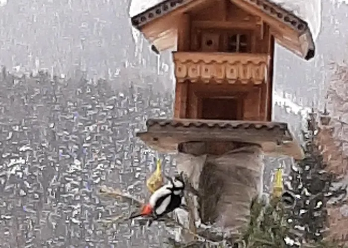 Fuerhapter Mit Bio- Bauernhof Κατάλυμα σε φάρμα Sankt Jakob in Defereggen