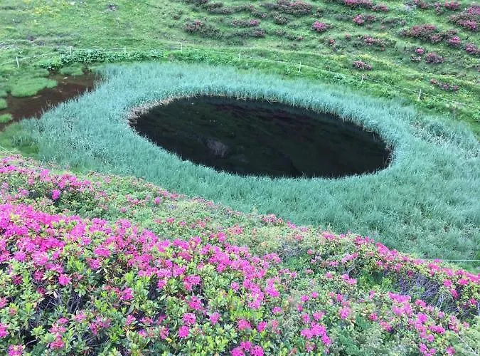 Fuerhapter Mit Bio- Bauernhof Κατάλυμα σε φάρμα