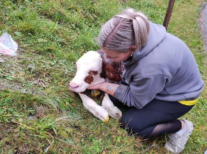 Fuerhapter Mit Bio- Bauernhof * Sankt Jakob in Defereggen