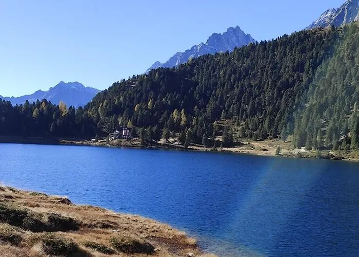 Fuerhapter Mit Bio- Bauernhof