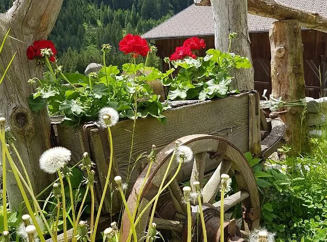 Κατάλυμα σε φάρμα Fuerhapter Mit Bio- Bauernhof *