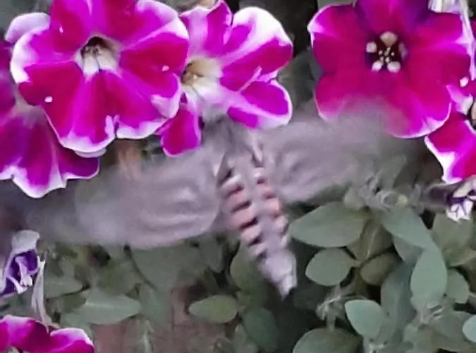 Fuerhapter Mit Bio- Bauernhof