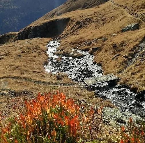 Fuerhapter Mit Bio- Bauernhof * Sankt Jakob in Defereggen